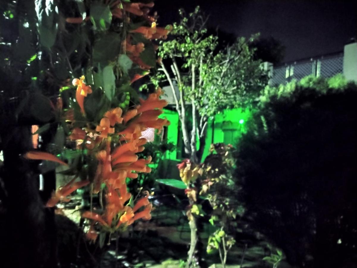 Last Chance Cafe And Guest House Rishikesh Exterior photo